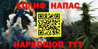 дживик Ставрополь