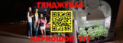 дживик Ставрополь