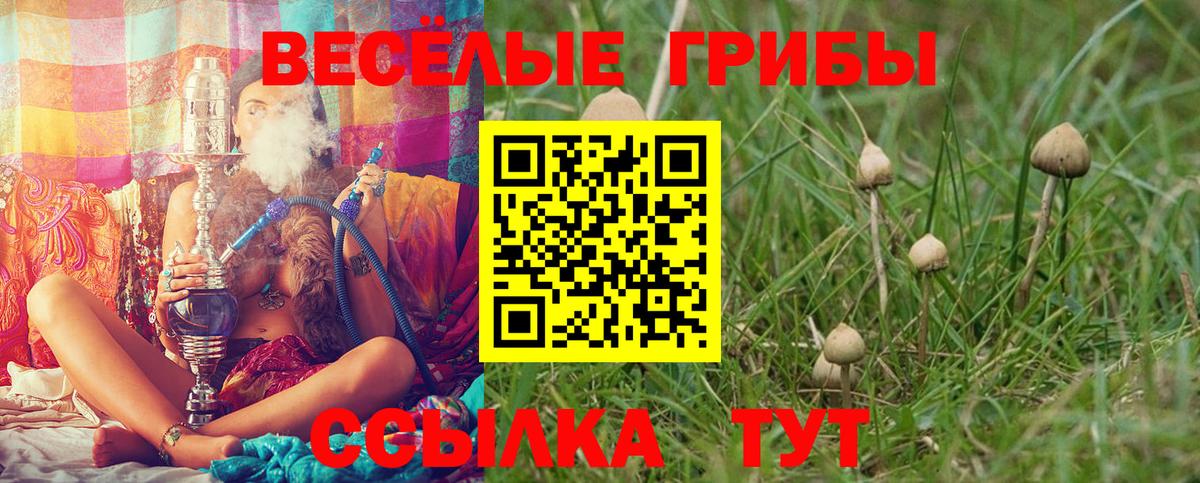 Нижнеудинск  Галлюциногенные грибы ЛСД  Вход с VPN 